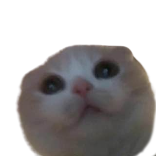 GRRR
